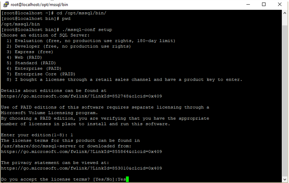 เมื่อตั้งค่าสำเร็จ  สคริปท์ก็จะทำการ Start Daemon (Service) ของ Database Engine ทันทีดังรูป