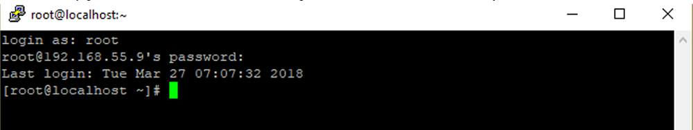 ควรจะปรากฎ Console ของ Putty ดังแสดง