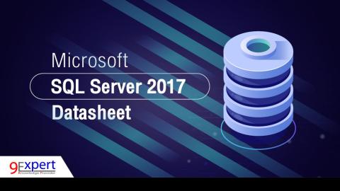 Microsoft SQL Server 2017 Datasheet (4 )