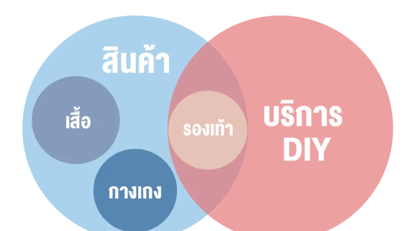 การนำเสนออินโฟกราฟิกด้วยแผนภาพ “เวนน์”