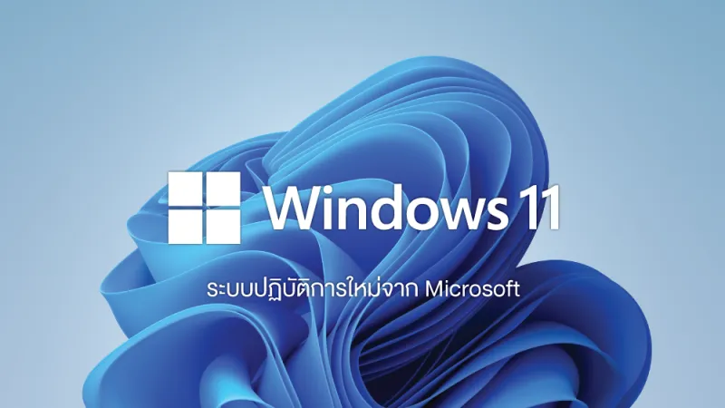 Windows 11