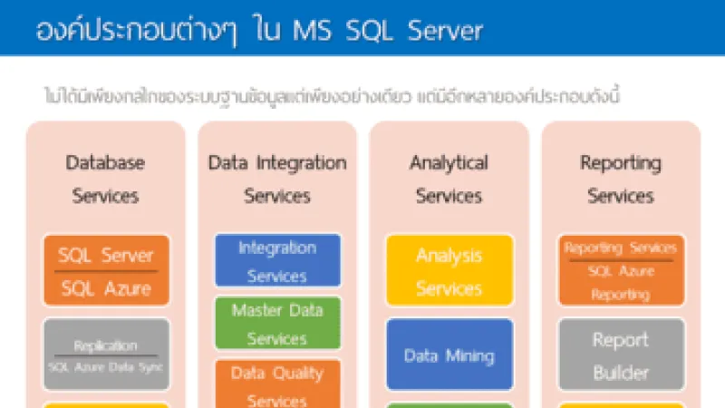 องค์ประกอบต่าง ๆ ใน MS SQL Server