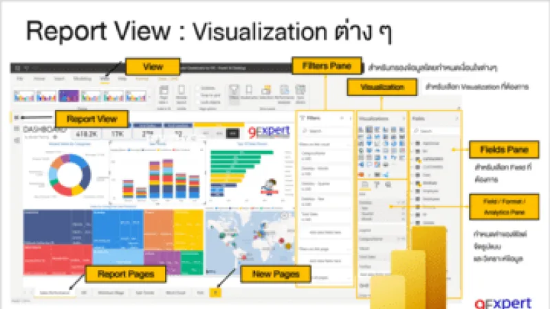 Power BI Report View
