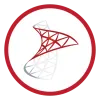 Microsoft SQL Server
